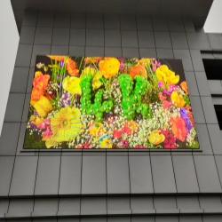 戶外p4